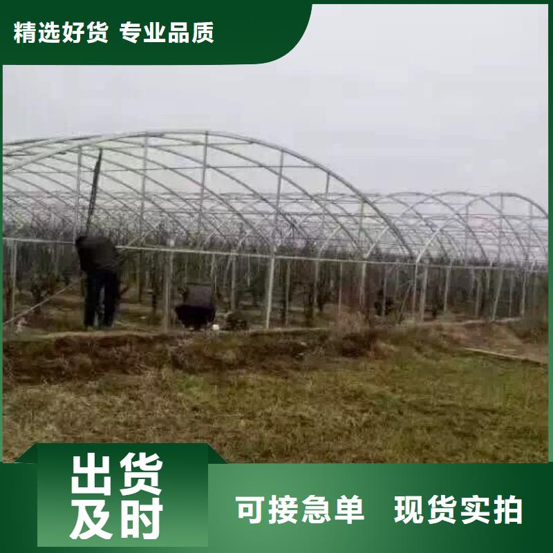 钢管镀锌方管源头厂家量大价优厂家大量现货