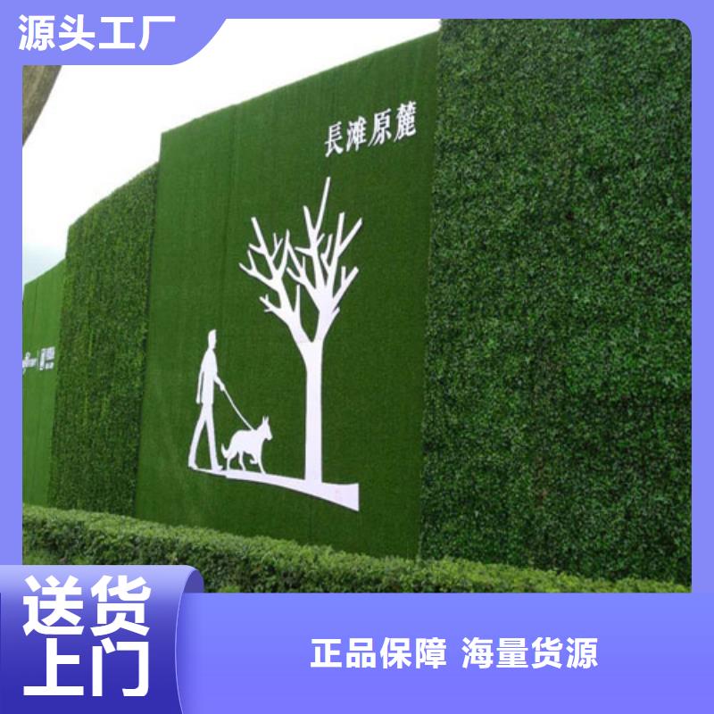 围挡草坪人造草坪围挡经验丰富质量放心质量为本