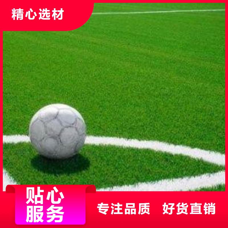 人造草坪【塑胶跑道施工】贴心服务同城货源
