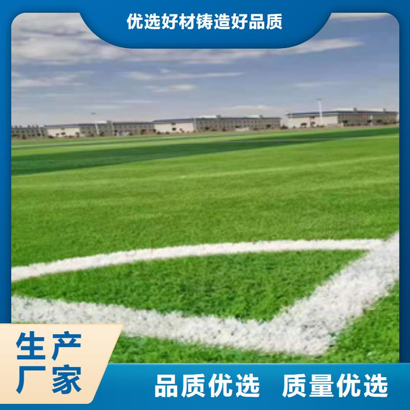 人造草坪-橡胶跑道有口皆碑当地公司
