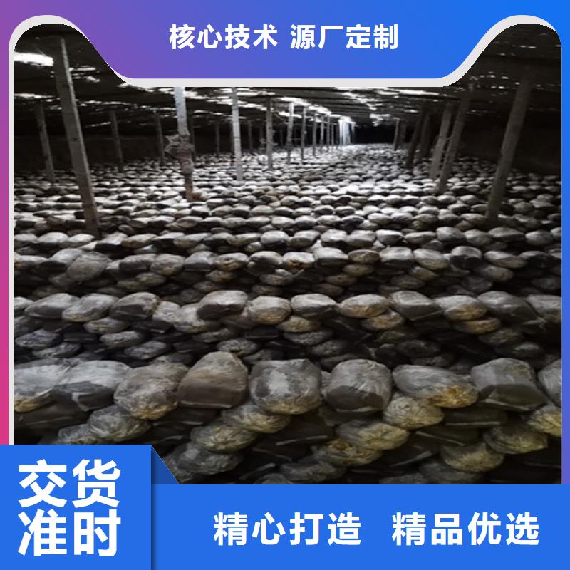 质优价廉的
灵芝粉公司价格实惠