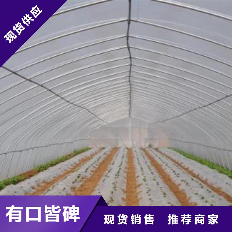 菌菇大棚管靠谱厂家2024附近货源