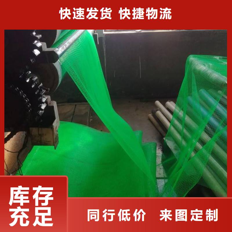 三维植被网现货满足大量采购工厂价格