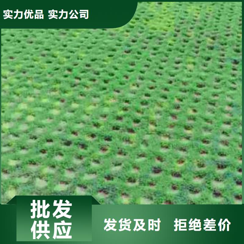 【植草格】土工格室物美价优款式多样