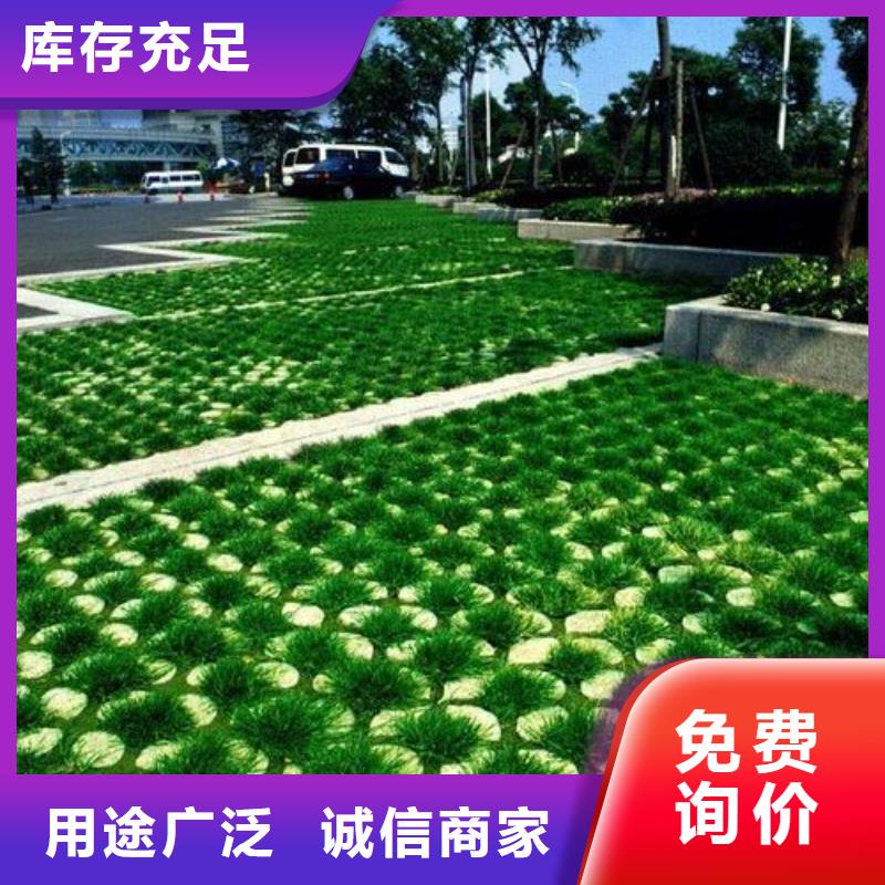 【植草格,PP焊接土工格栅来电咨询】严选材质