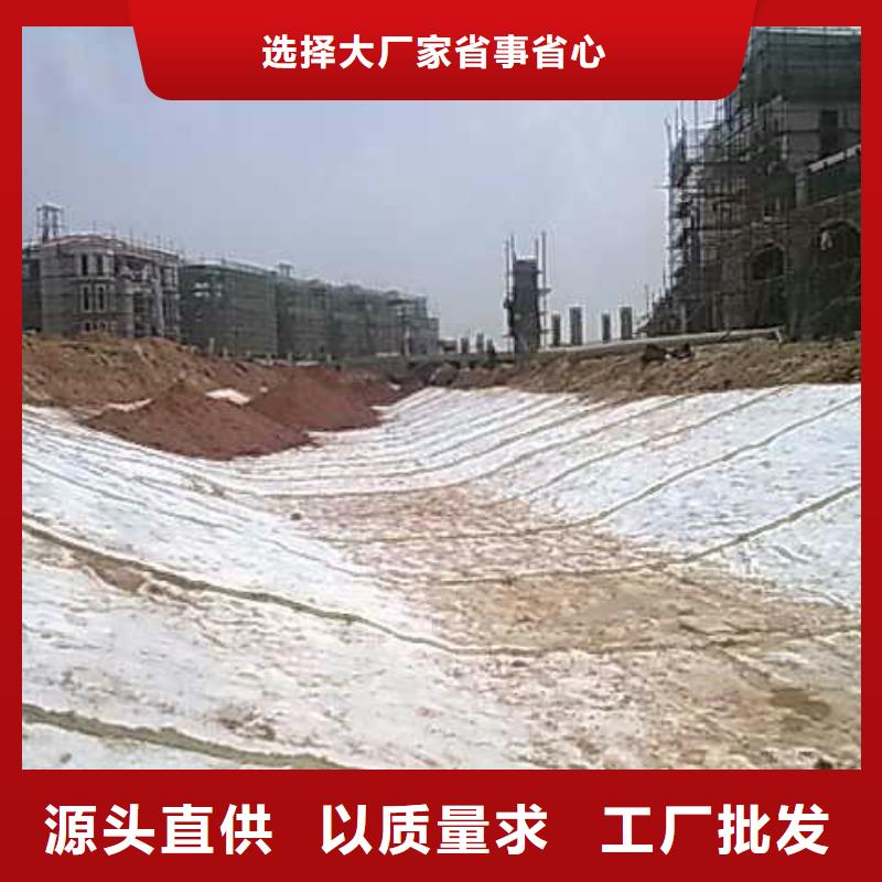 【膨润土防水毯】双向土工格栅厂家现货供应当地制造商