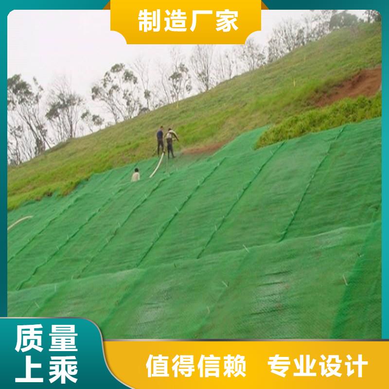 【三维植被网】,钢塑土工格栅厂家型号齐全使用寿命长久