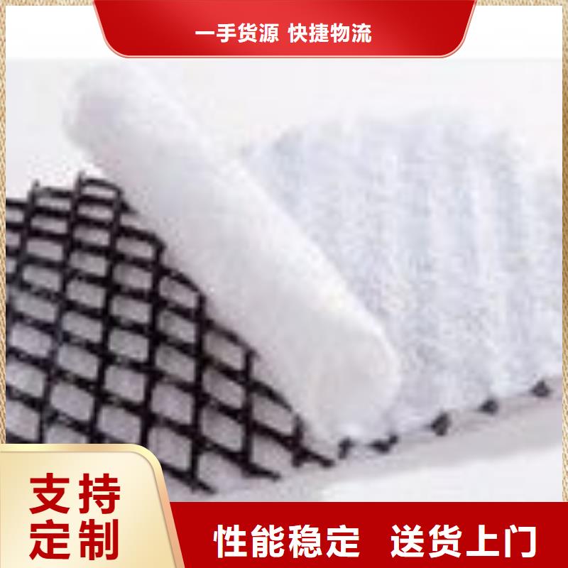 三维复合排水网复合土工膜质保一年专注生产N年