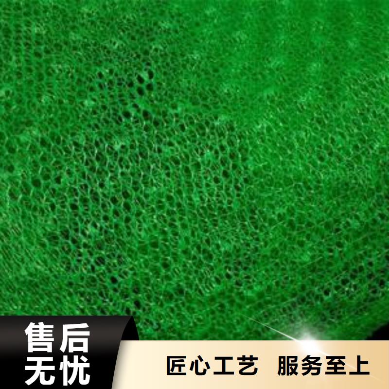 三维植被网_凸结点钢塑土工格栅专注产品质量与服务质量安全可靠