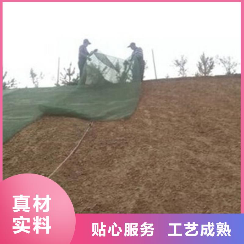 【三维植被网】土工格室优选厂家实力见证