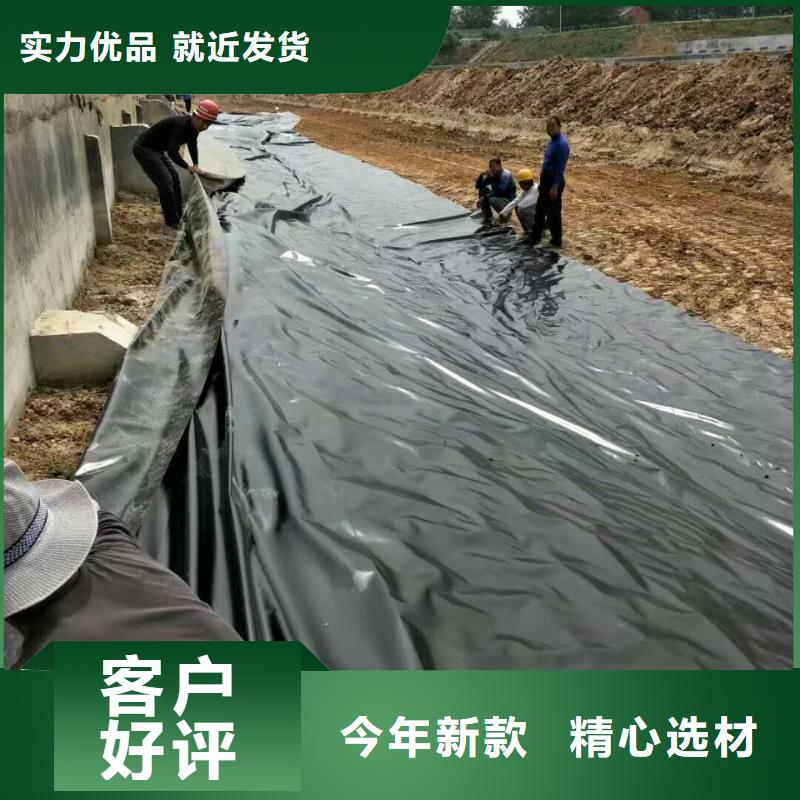 土工膜涤纶格栅当地货源当地生产厂家