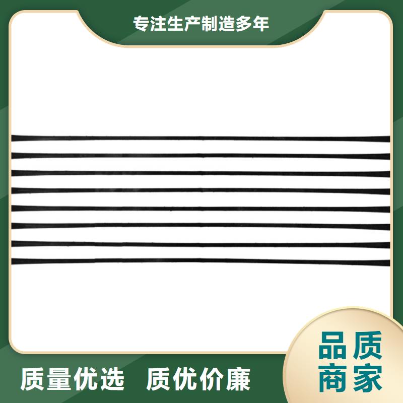 单向拉伸塑料格栅膨润土防水毯专注生产N年当地厂家