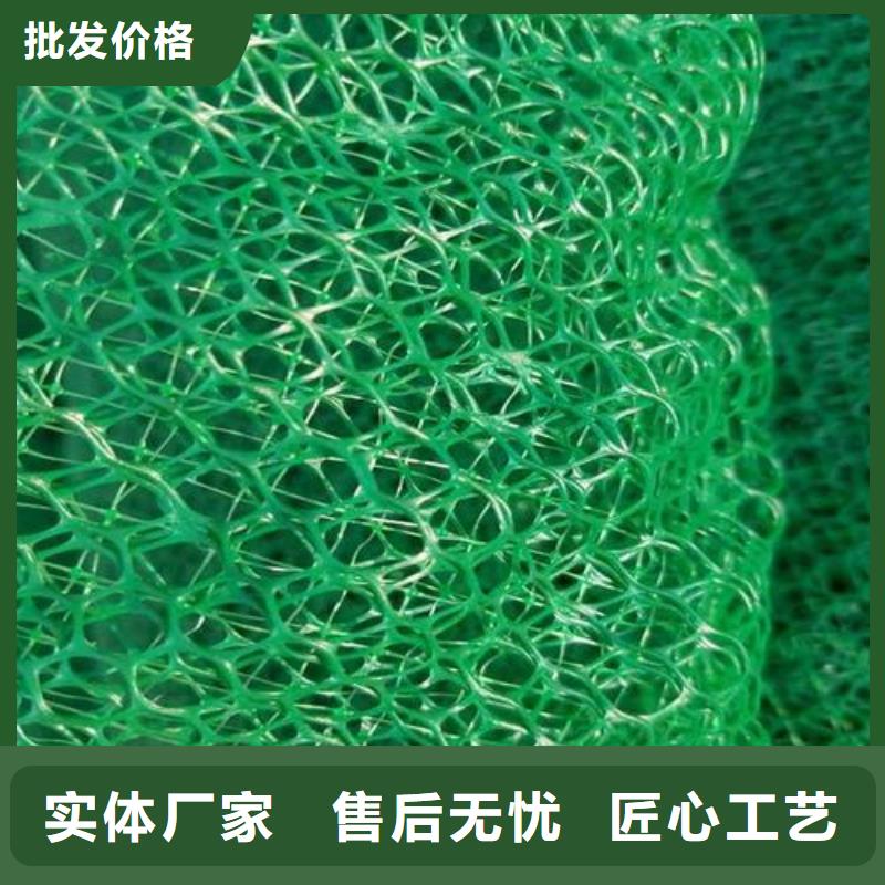 三维植被网双向塑料土工格栅产地采购同城生产商