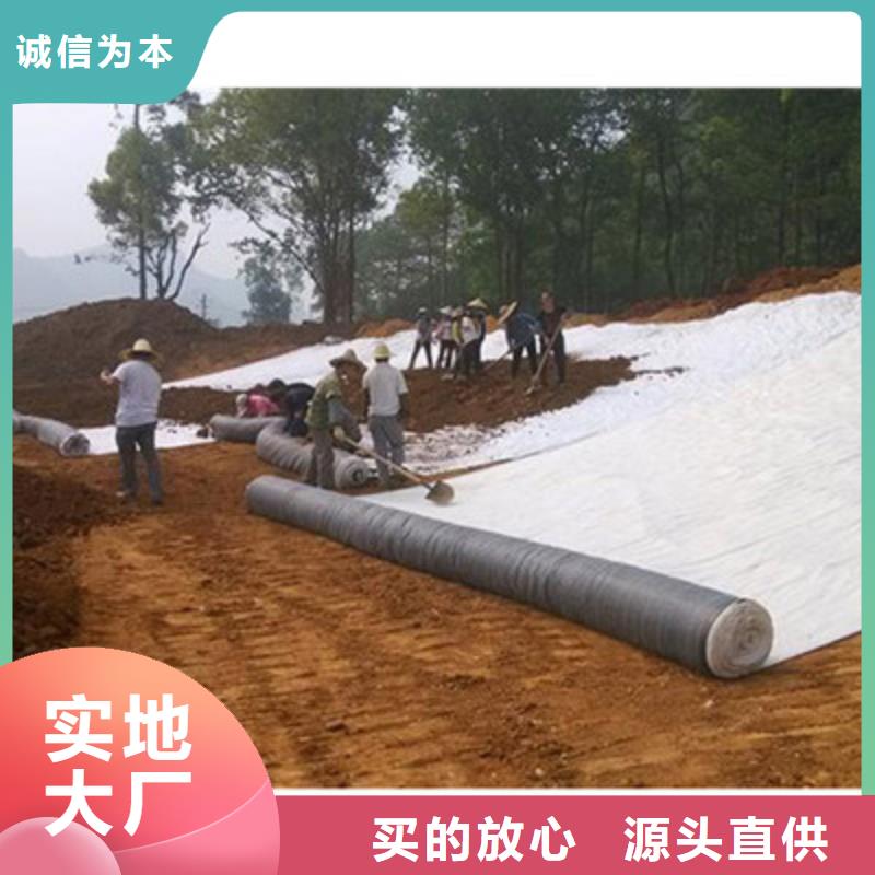 【膨润土防水毯】凸结点钢塑土工格栅厂家型号齐全本地经销商