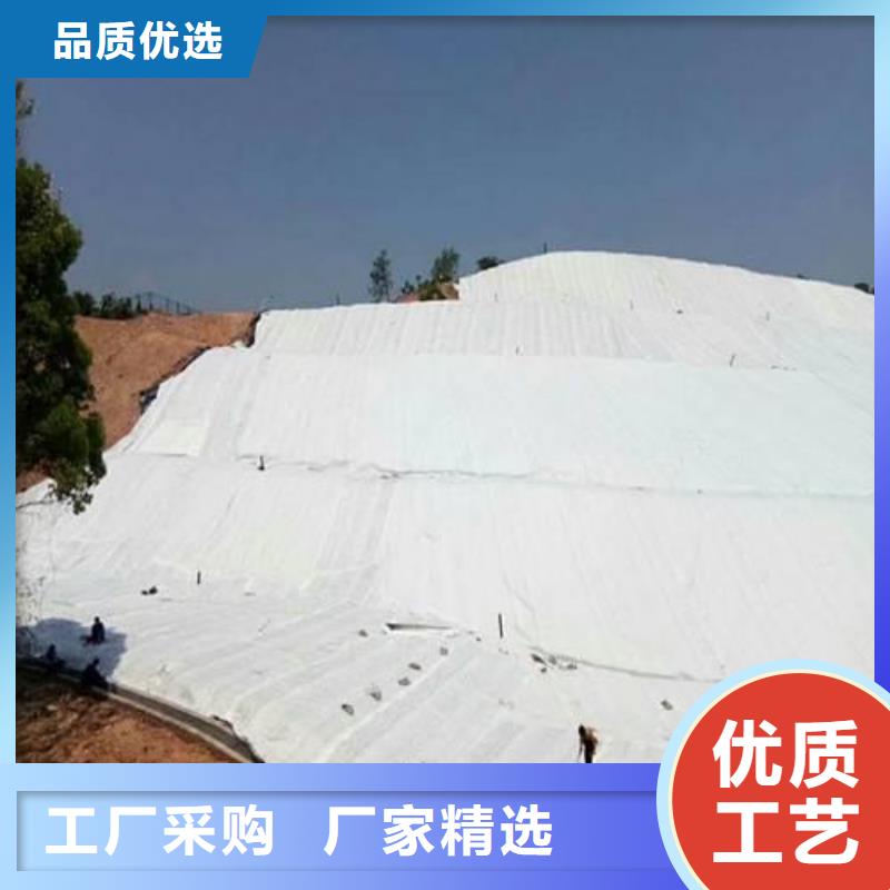 土工布钢塑土工格栅厂家自主研发用心服务