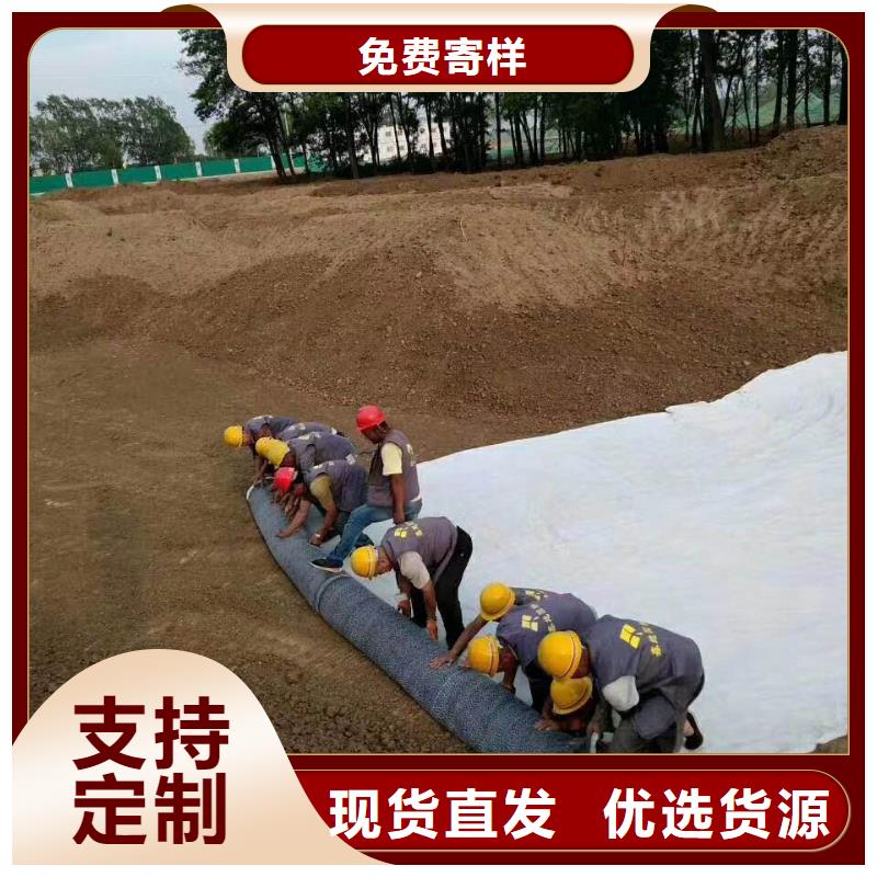 防水毯【三维植被网厂家】自有生产工厂当地公司
