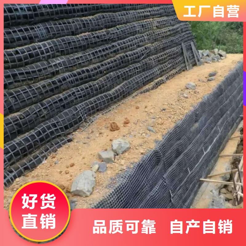 土工格栅,三维水土保护毯现货充足量大优惠精致工艺