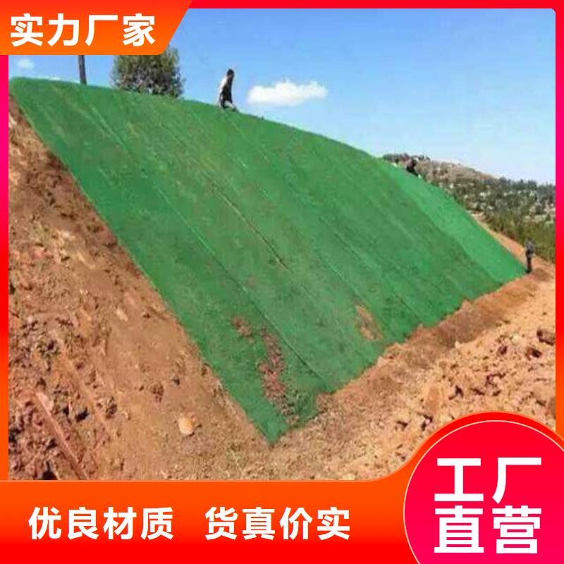 三维植被网双向塑料土工格栅丰富的行业经验工厂直销