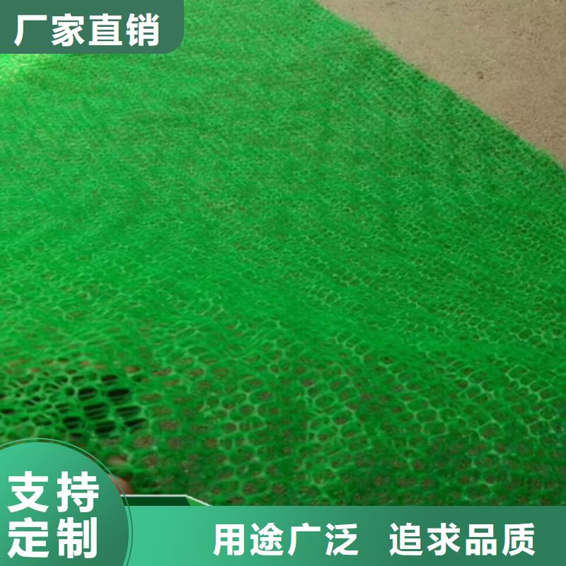 三维植被网-聚丙烯双拉土工格栅货真价实用品质说话