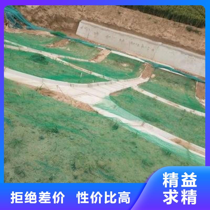 三维植被网凸结点钢塑土工格栅现货采购好品质选我们