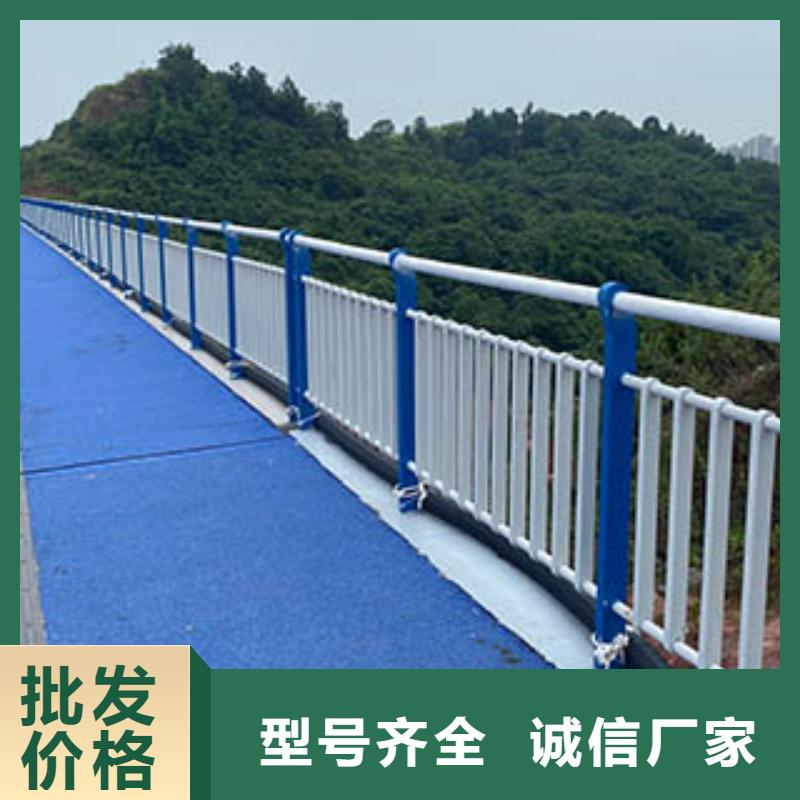 【河道护栏道路护栏支持批发零售】厂家案例