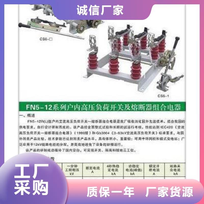 ZFN16-12D/630高压负荷开关厂家实力雄厚