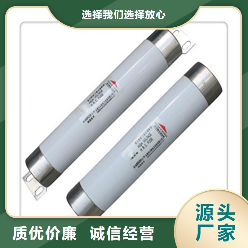 XRNT1-40.5/63A高压限流熔断器同城经销商