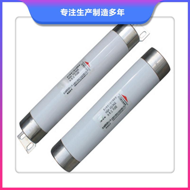 XRNP1-40.5/1A限流熔断器樊高诚信商家