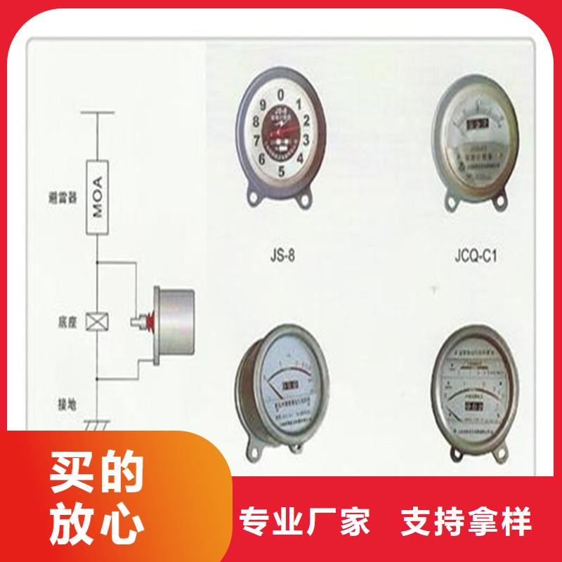 JCQ1-10/800避雷器计数器哪里有放心选购