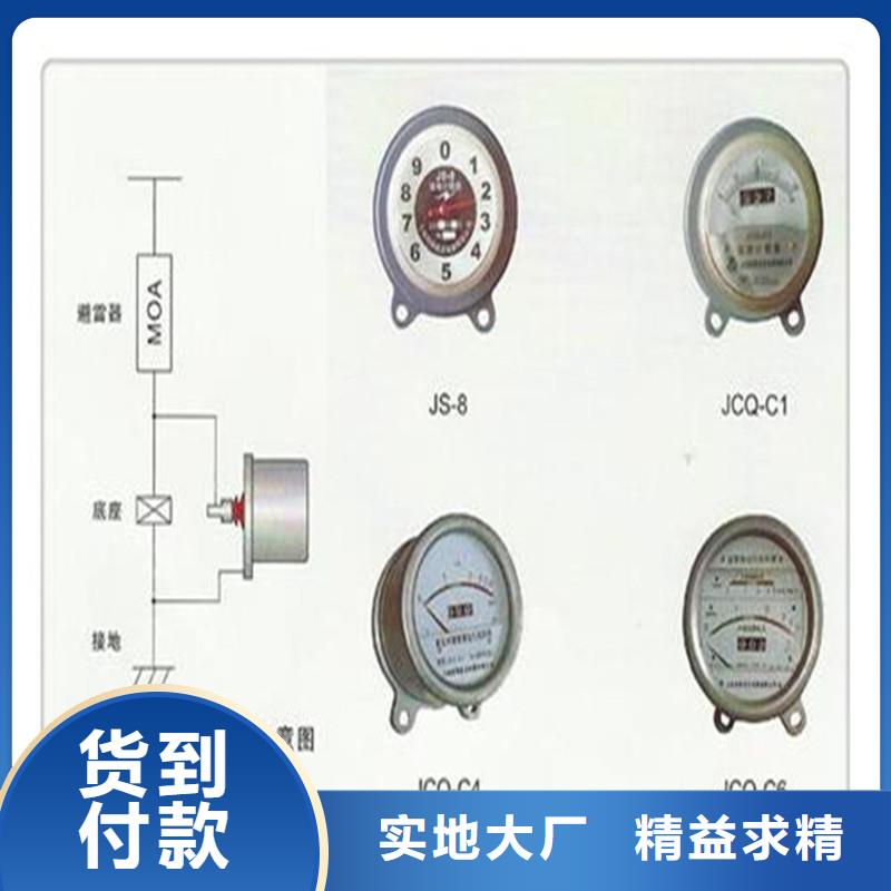 JS-8A避雷器计数器同城品牌