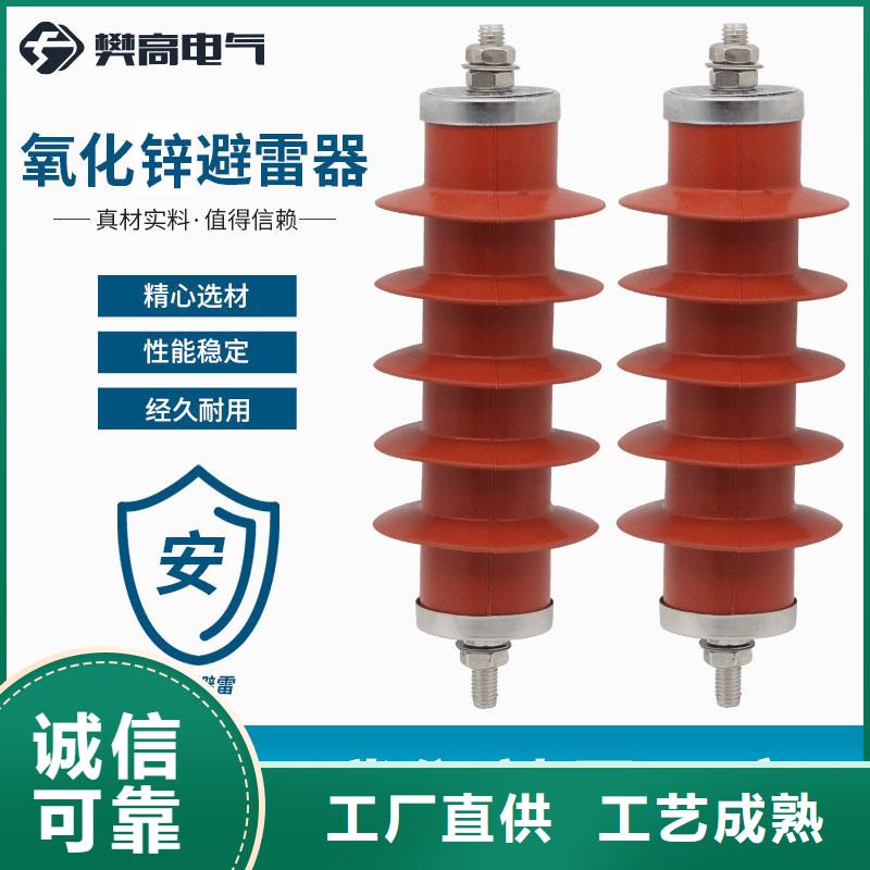 Y10WZ-54/134陶瓷氧化锌避雷器本地品牌