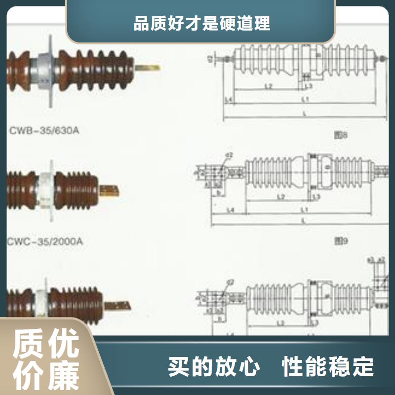 CWW40.5/2500A陶瓷套管樊高从源头保证品质