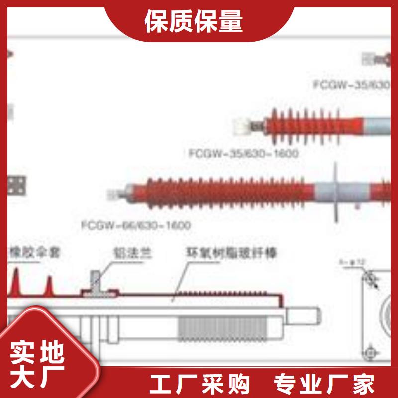 CWWC-40.5/2000A陶瓷套管樊高同行低价