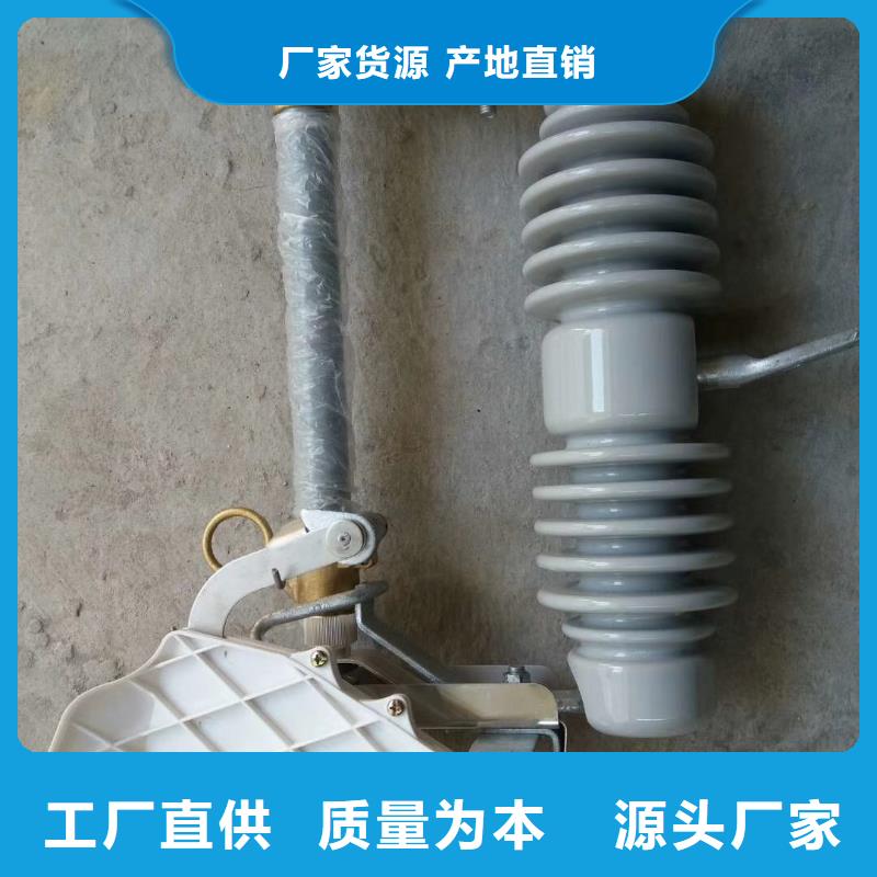 XRNP-24KV/0.2A限流熔断器性能支持定制加工