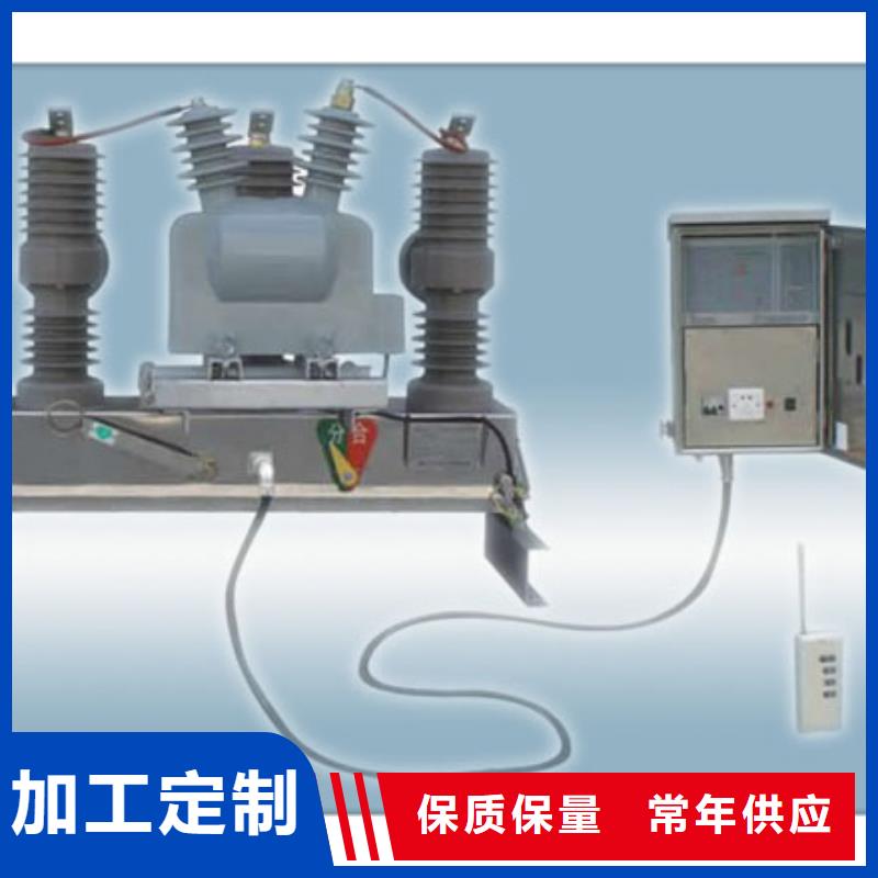 ZW43-12/1250-31.5户外高压真空断路器当地服务商