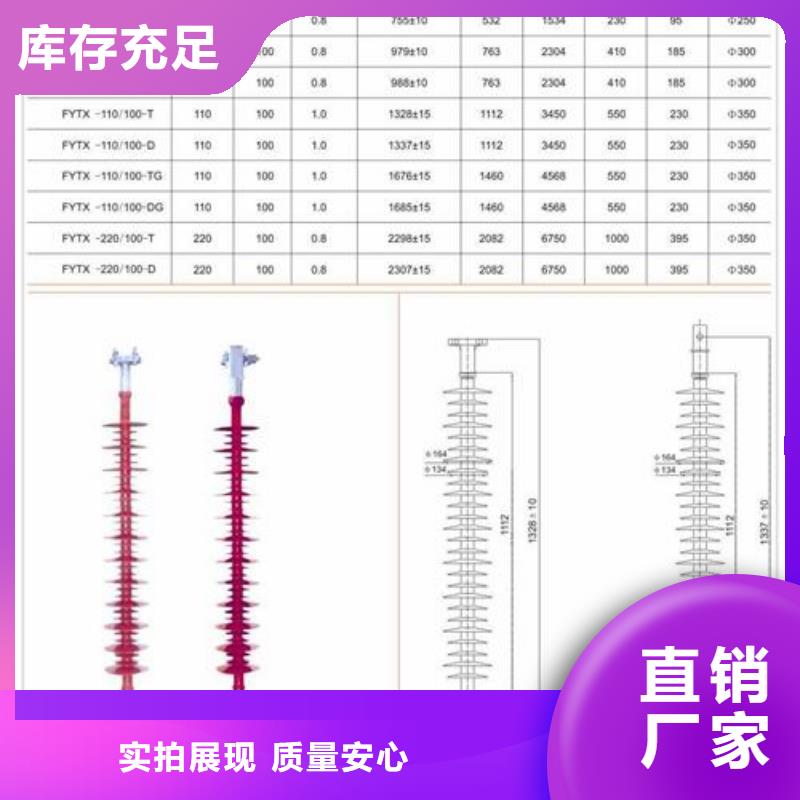 绝缘子_氧化锌避雷器出厂严格质检实力公司