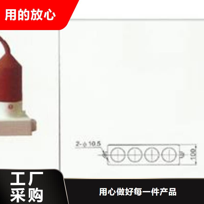 TBP-B-42F/310过电压保护器樊高电气当地制造商