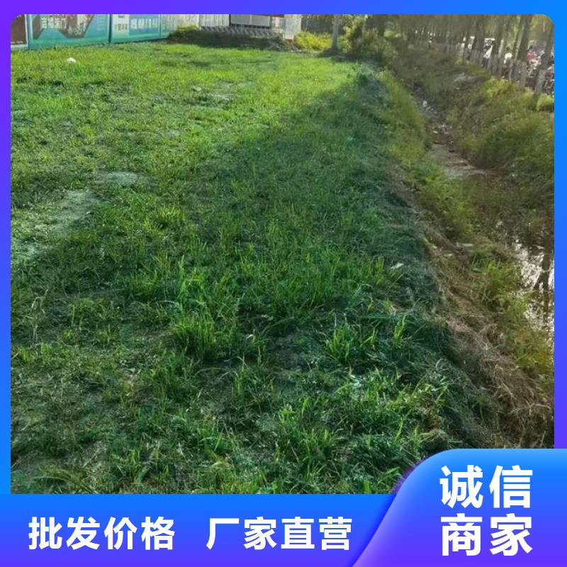 抑尘剂色素产地批发一站式采购商家