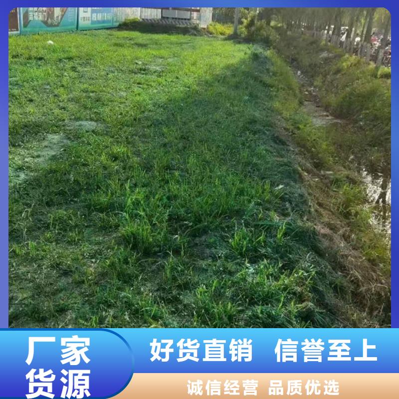 环保抑尘剂色素来电咨询欢迎新老客户垂询