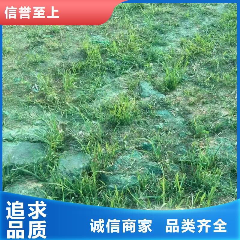 铁路抑尘剂现货直供厂家精选