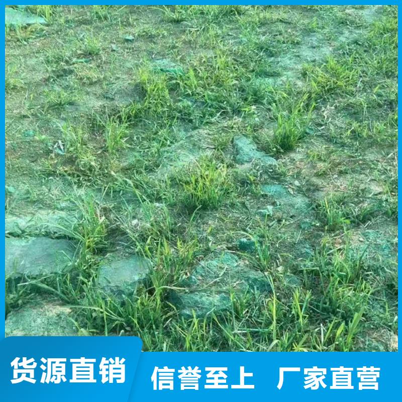 抑尘剂色素厂家直营本地生产厂家
