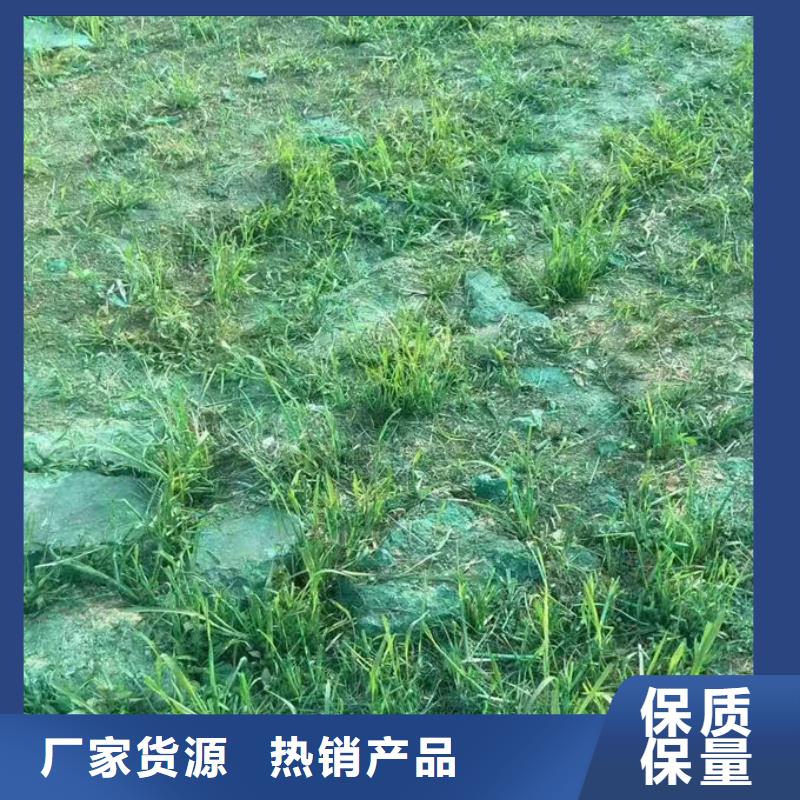 环保抑尘剂量大从优同城生产商