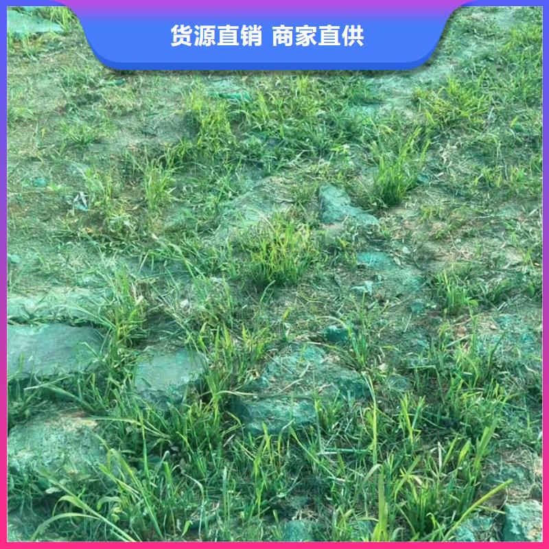 环保环保抑尘剂订购电话结壳时间长浩北铁路运煤抑尘剂当地服务商