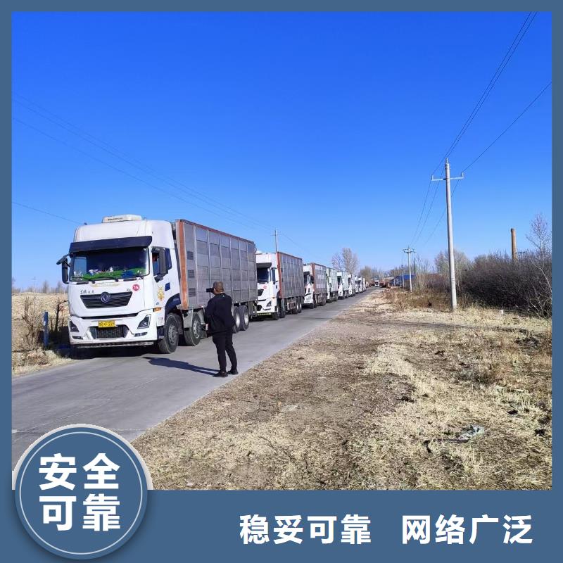 宿迁市泗阳到恒温车运输路线优化当地生产厂家