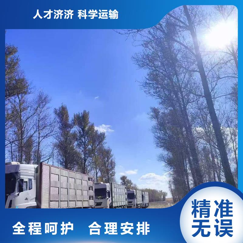 宿迁市泗阳到仔猪空调车运输安静舒适同城生产厂家