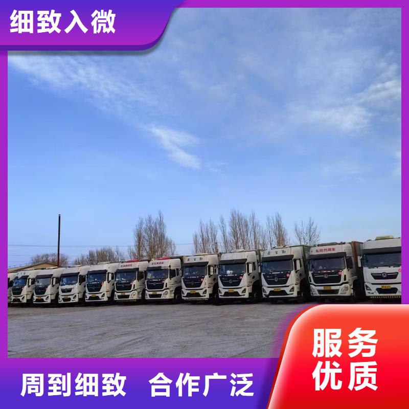 宿迁市泗洪到活禽运输有条不紊售后服务完善