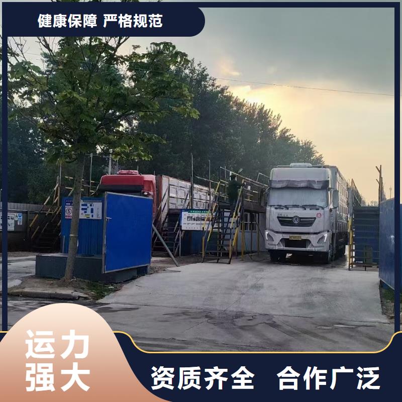 宿迁市泗阳到原料运输实力雄厚本地经销商