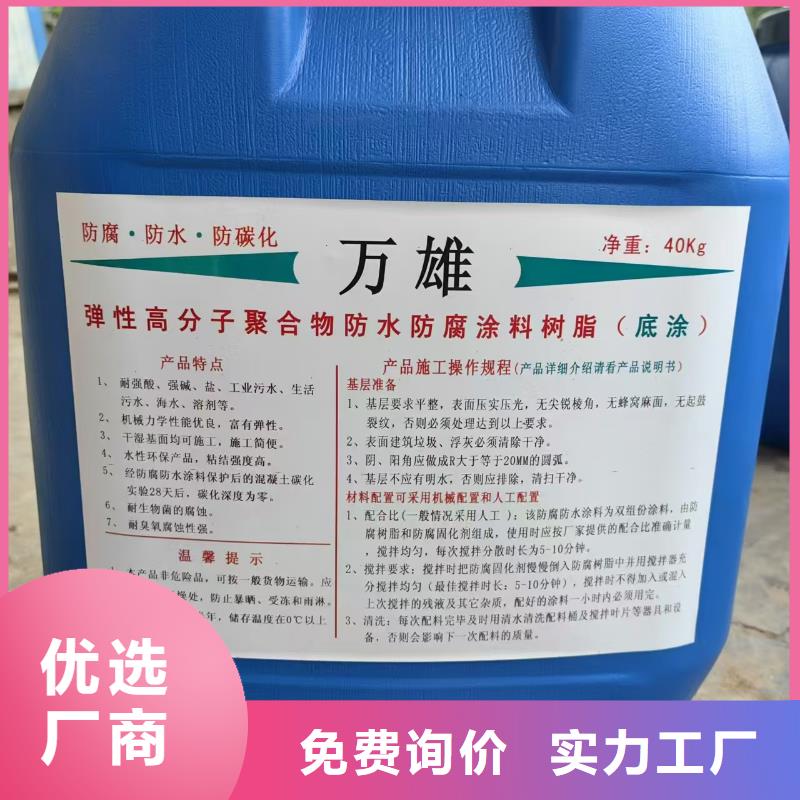 弹性高分子聚合物防水防腐涂料从源头保证品质生产PEO抗臭氧氧化防腐涂料当地供应商