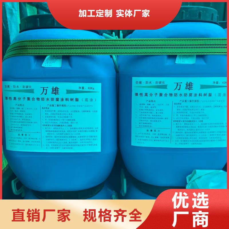 弹性高分子聚合物防水防腐涂料品牌专营订制批发RLFA水性聚乙烯防腐涂料（污水厂）专业品质