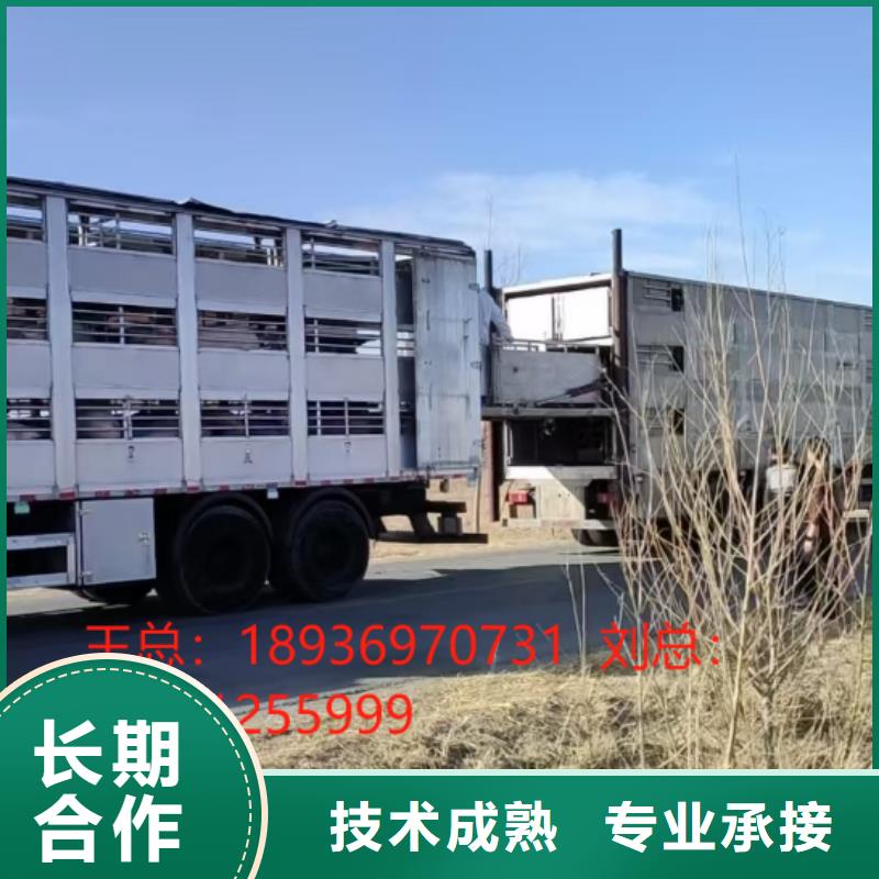 盐城到长治猪笼车运输-专用车放心之选